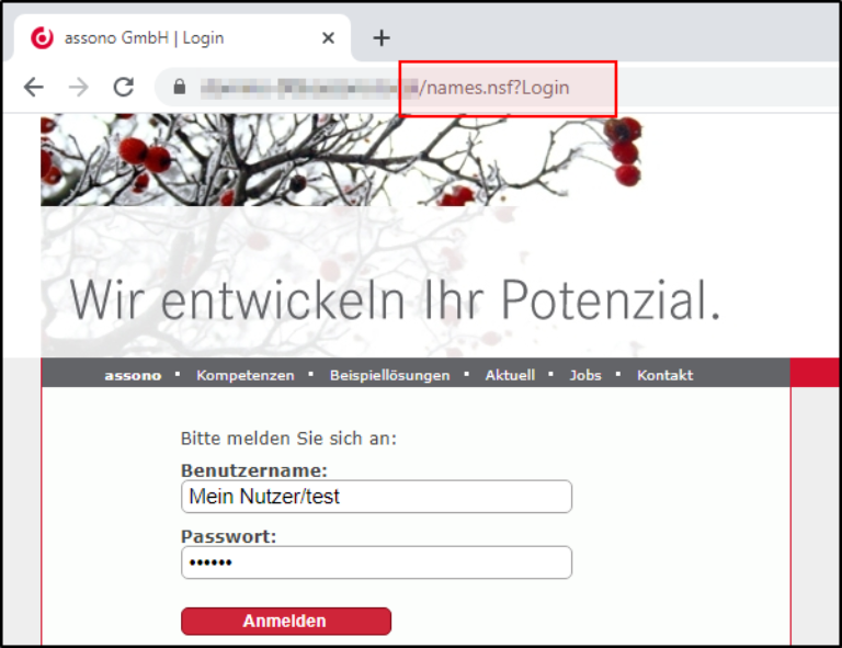 Nun können sich alle in der Datenbank angelegten Benutzer über den Browser anmelden.