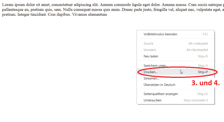 Abb.4 IBM Connections – Wikis werden nun korrekt gedruckt.
