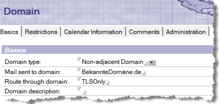 In der zentralen Domäne ein neues Domänendokument vom Typ "Non-adjacent Domain" erstellen