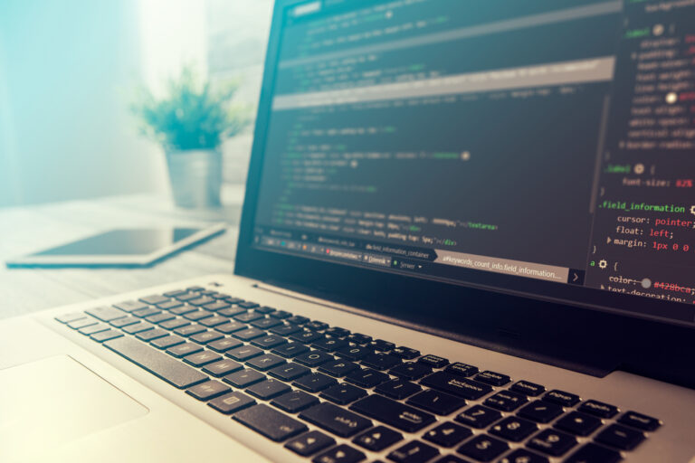 Software Entwicklung